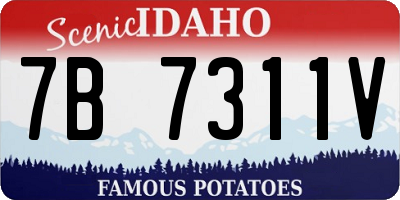 ID license plate 7B7311V