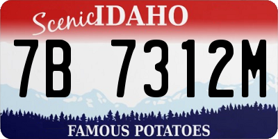ID license plate 7B7312M