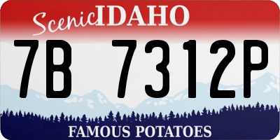 ID license plate 7B7312P