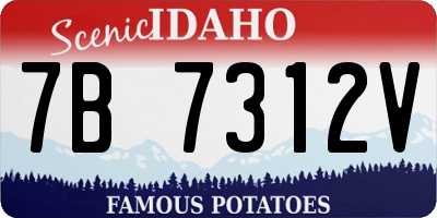 ID license plate 7B7312V