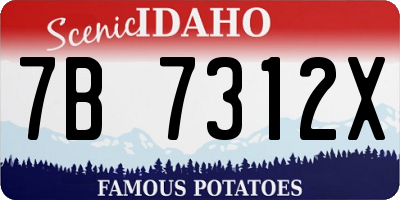 ID license plate 7B7312X