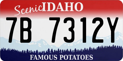 ID license plate 7B7312Y