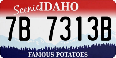 ID license plate 7B7313B