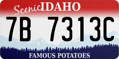 ID license plate 7B7313C