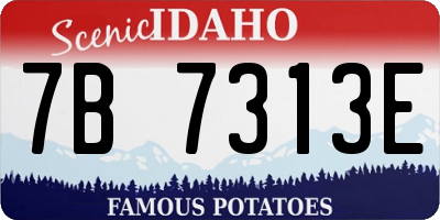 ID license plate 7B7313E