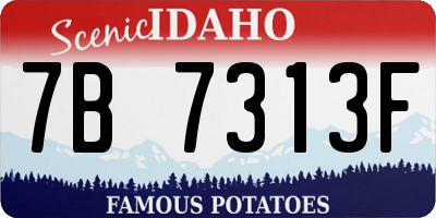 ID license plate 7B7313F