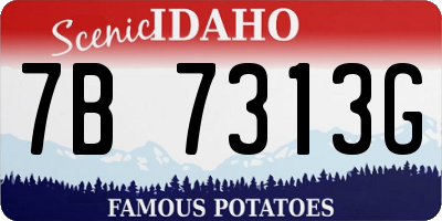 ID license plate 7B7313G