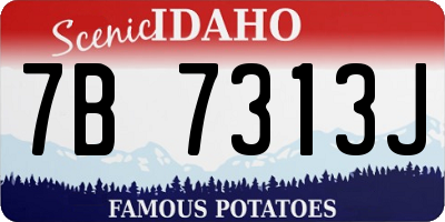 ID license plate 7B7313J