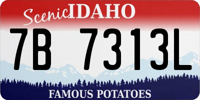ID license plate 7B7313L