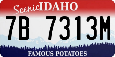 ID license plate 7B7313M