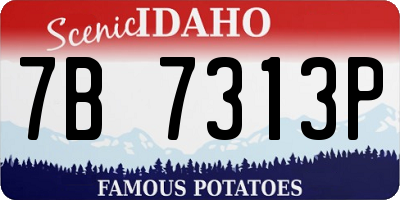 ID license plate 7B7313P