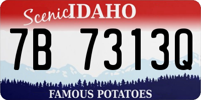 ID license plate 7B7313Q