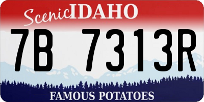 ID license plate 7B7313R