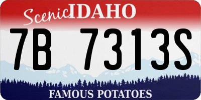 ID license plate 7B7313S