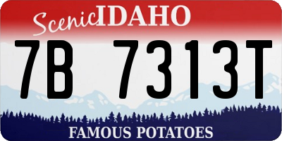 ID license plate 7B7313T