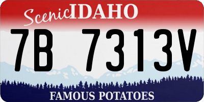 ID license plate 7B7313V