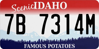 ID license plate 7B7314M
