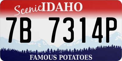 ID license plate 7B7314P