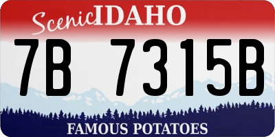 ID license plate 7B7315B