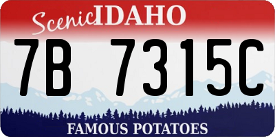ID license plate 7B7315C