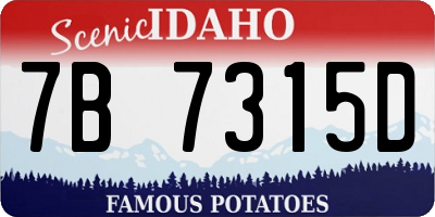 ID license plate 7B7315D