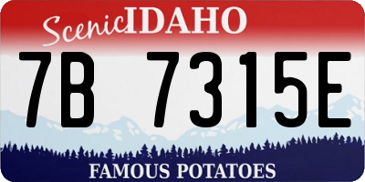 ID license plate 7B7315E