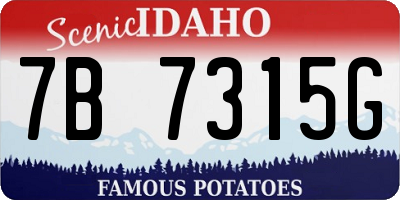 ID license plate 7B7315G