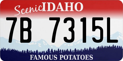 ID license plate 7B7315L