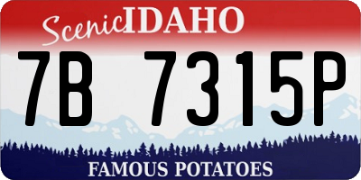 ID license plate 7B7315P