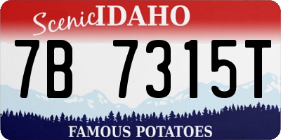ID license plate 7B7315T