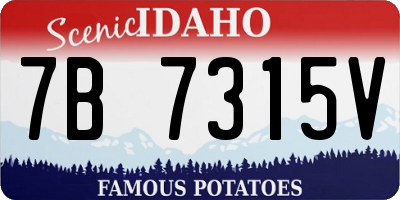 ID license plate 7B7315V