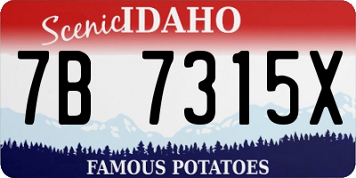 ID license plate 7B7315X
