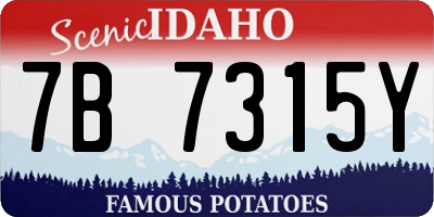 ID license plate 7B7315Y