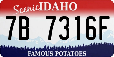 ID license plate 7B7316F