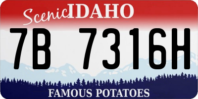 ID license plate 7B7316H