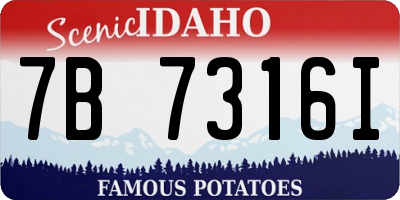 ID license plate 7B7316I