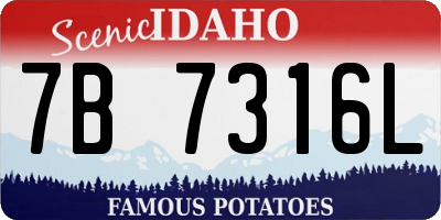 ID license plate 7B7316L