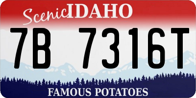ID license plate 7B7316T