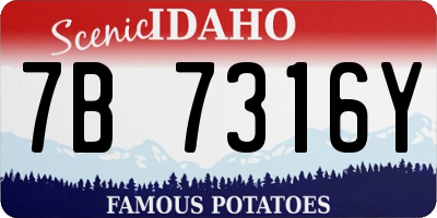 ID license plate 7B7316Y