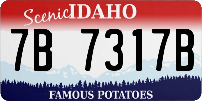 ID license plate 7B7317B