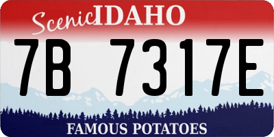 ID license plate 7B7317E