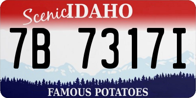 ID license plate 7B7317I