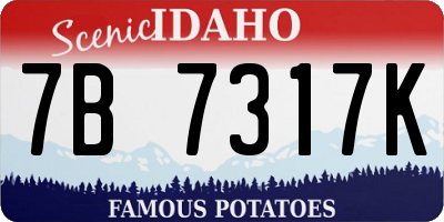 ID license plate 7B7317K