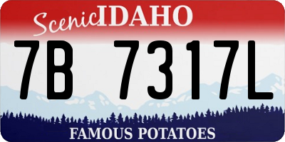 ID license plate 7B7317L