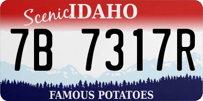 ID license plate 7B7317R