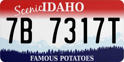 ID license plate 7B7317T