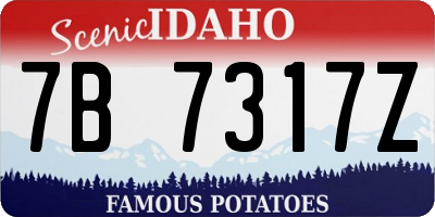ID license plate 7B7317Z