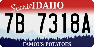 ID license plate 7B7318A