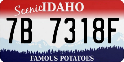ID license plate 7B7318F