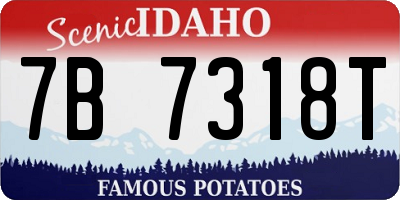 ID license plate 7B7318T